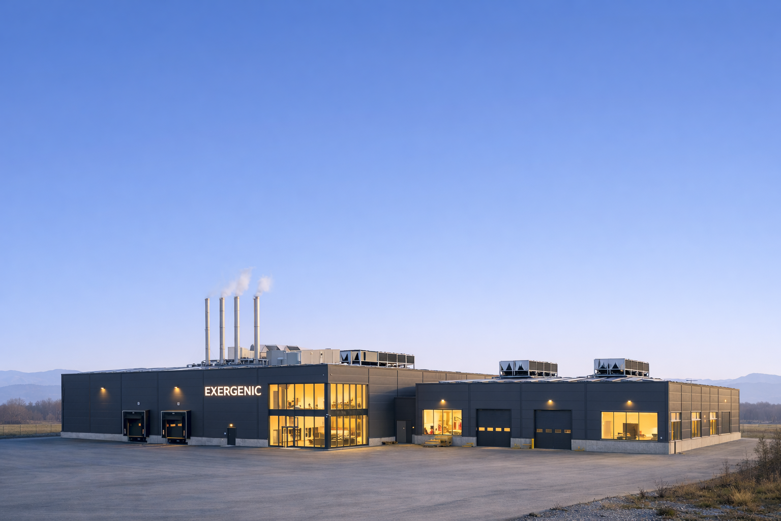 Exergenic production facility